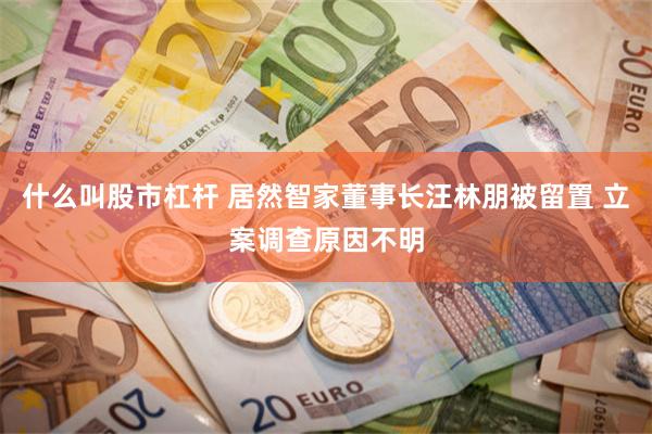 什么叫股市杠杆 居然智家董事长汪林朋被留置 立案调查原因不明