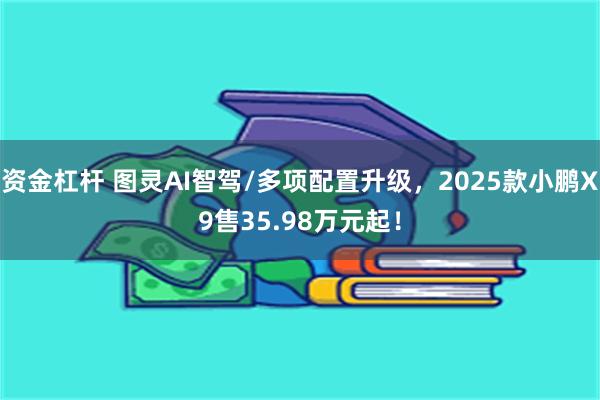资金杠杆 图灵AI智驾/多项配置升级，2025款小鹏X9售35.98万元起！
