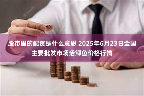 股市里的配资是什么意思 2025年6月23日全国主要批发市场活鲫鱼价格行情