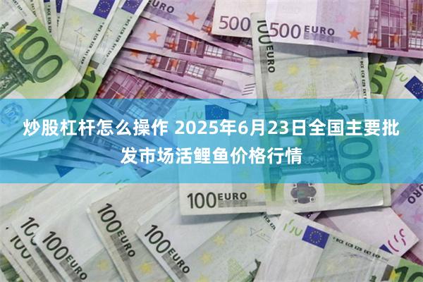 炒股杠杆怎么操作 2025年6月23日全国主要批发市场活鲤鱼价格行情