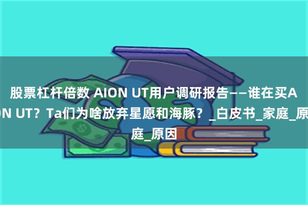 股票杠杆倍数 AION UT用户调研报告——谁在买AION UT？Ta们为啥放弃星愿和海豚？_白皮书_家庭_原因