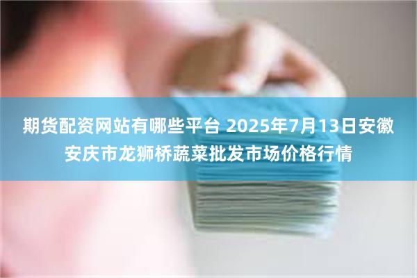 期货配资网站有哪些平台 2025年7月13日安徽安庆市龙狮桥蔬菜批发市场价格行情