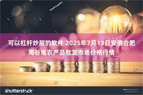 可以杠杆炒股的软件 2025年7月13日安徽合肥周谷堆农产品批发市场价格行情